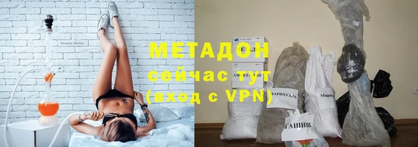 сатива Алзамай