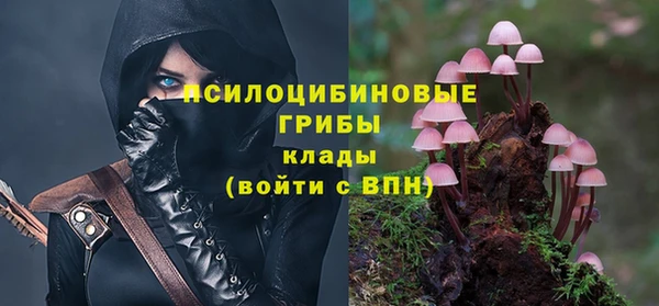 Альфа ПВП Алексеевка