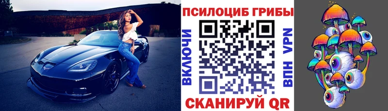 цена наркотик  Кириши  Псилоцибиновые грибы ЛСД 